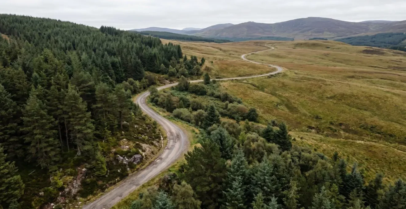 An aerial view of a winding mountain road that transitions from a dense, dark forest into a bright, open meadow, symbolising the journey from wealth accumulation to capital preservation.